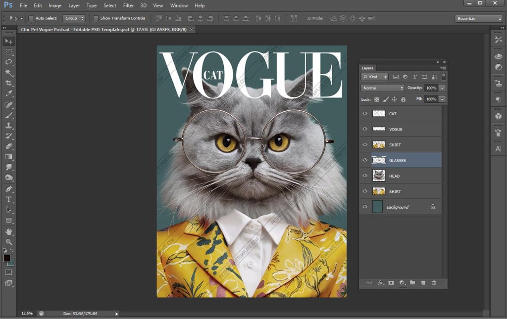 Photoshop layers panel showing smart‑object layers for head, glasses, shirt, text, and background